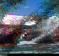 Springvale Homestead - Find Attractions