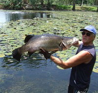 Barra Feeding - Find Attractions