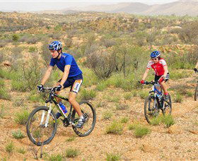 Araluen Mountain Bike Trails - Find Attractions 0