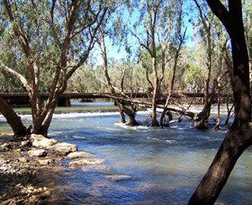 Low Level Nature Reserve - Find Attractions 0