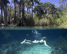 Bitter Springs - Find Attractions 0