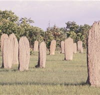 Magnetic Termite Mounds - Find Attractions