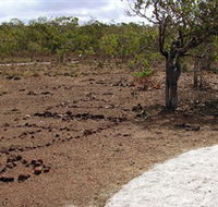 Wurrwurrwuy Garanhan Macassan Beach Interpretive Walk - Find Attractions