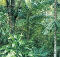 Westside Track Maiala - Find Attractions
