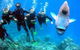 The Aarhus Dive Site - thumb 0