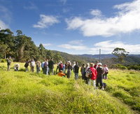 Book Springbrook Accommodation Vacations Find Attractions Find Attractions