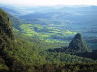 Springbrook Plateau Springbrook National Park