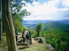 Gold Coast Hinterland Great Walk - Find Attractions 0