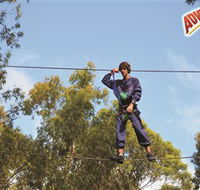 Adventure Parc at Currumbin Wildlife Sanctuary - Find Attractions