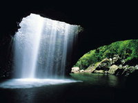 Natural Bridge Springbrook National Park