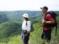 Sunshine Coast Hinterland Great Walk