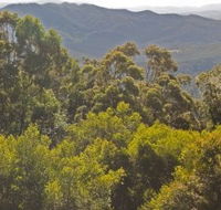 Conondale National Park - Find Attractions