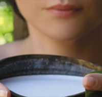 Ikatan Day Spa - Find Attractions