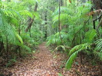 Book Mapleton Accommodation Vacations Find Attractions Find Attractions