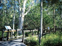 Book Noosa Heads Accommodation Vacations Find Attractions Find Attractions