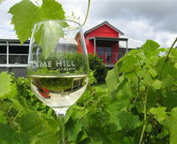 Flame Hill Vineyard