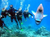 Magic Mountain Dive Site