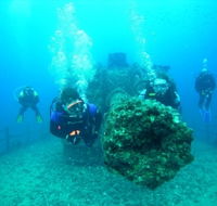 Ex-HMAS Brisbane Conservation Park - Find Attractions