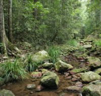 Amamoor State Forest - Find Attractions