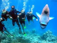 Jew Shoal Dive Site
