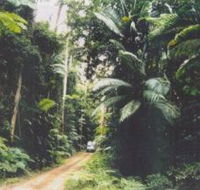 Conondale Great Walk - Find Attractions