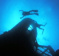 Ex HMAS Brisbane Dive Site - Find Attractions