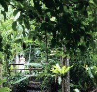 Flecker Botanic Gardens - Find Attractions