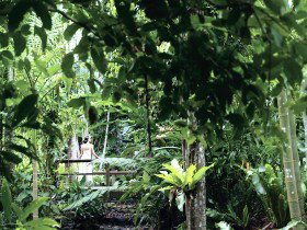 Flecker Botanic Gardens - Find Attractions 0