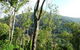 Smiths Track, Barron Gorge National Park - thumb 0