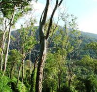 Smiths Track Barron Gorge National Park - Find Attractions