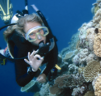 Moore Reef Dive Site - Find Attractions