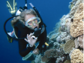 Moore Reef Dive Site - Find Attractions 0