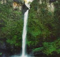 Nandroya Falls Circuit Track Wooroonooran National Park - Find Attractions