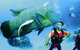 Cod Hole Dive Site - thumb 0