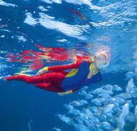 Great Detached Reef Dive Site - Find Attractions