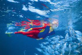 Great Detached Reef Dive Site - Find Attractions 0