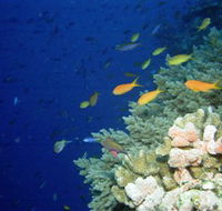 The Three Sisters Dive Site - Find Attractions