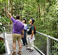 Daintree Discovery Centre - Find Attractions