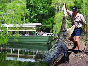 Hartleys Crocodile Adventures Wangetti