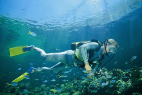 Tijou Reef Port Douglas