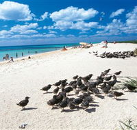 Michaelmas and Upolo Cays National Park - Find Attractions