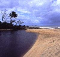 Russell River National Park - Find Attractions