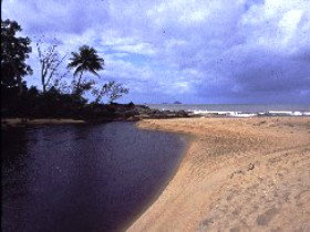 Russell River National Park - Find Attractions 0