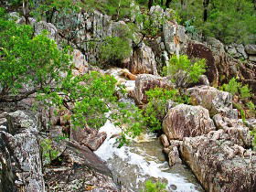 Crows Nest National Park - Find Attractions 0