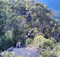 Mia Mia State Forest - Find Attractions