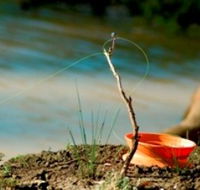 Charleville - Mangalore Warrego River Fishing Spot - Find Attractions