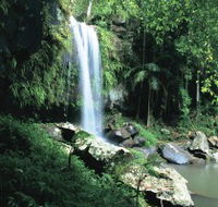 Curtis Falls Joalah Section - Find Attractions