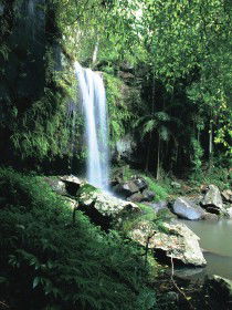 Curtis Falls, Joalah Section - Find Attractions 0