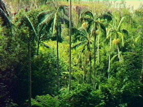 Monto QLD Find Attractions
