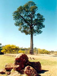 Book Cunnamulla Accommodation Vacations Find Attractions Find Attractions